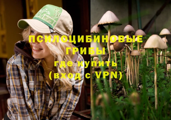 прущая мука Алзамай