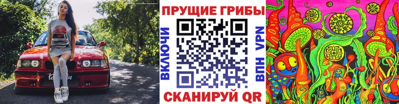 Галлюциногенные грибы GOLDEN TEACHER  даркнет сайт  Полысаево 